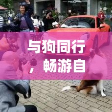 與狗同行，暢游自然城市，狗子旅行攻略大揭秘！