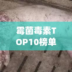 霉菌毒素TOP10榜單，揭秘危害健康的隱形殺手！