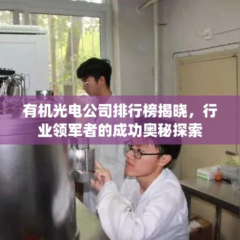 有機(jī)光電公司排行榜揭曉，行業(yè)領(lǐng)軍者的成功奧秘探索