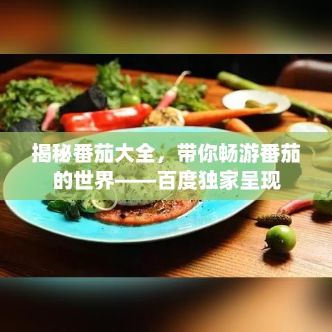 揭秘番茄大全，帶你暢游番茄的世界——百度獨(dú)家呈現(xiàn)