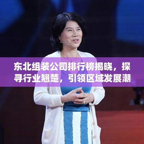 東北組裝公司排行榜揭曉，探尋行業(yè)翹楚，引領(lǐng)區(qū)域發(fā)展潮流