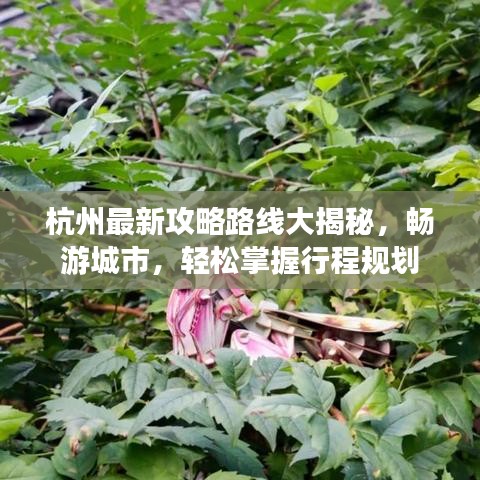 杭州最新攻略路線大揭秘，暢游城市，輕松掌握行程規(guī)劃