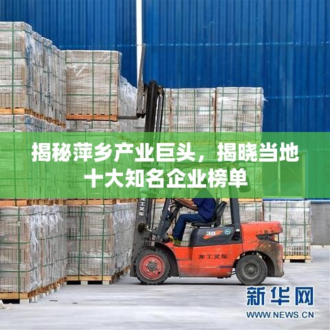 揭秘萍鄉(xiāng)產(chǎn)業(yè)巨頭，揭曉當(dāng)?shù)厥笾髽I(yè)榜單