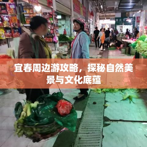 宜春周邊游攻略，探秘自然美景與文化底蘊