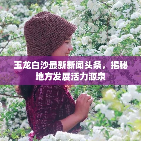 玉龍白沙最新新聞?lì)^條，揭秘地方發(fā)展活力源泉
