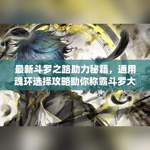 最新斗羅之路助力秘籍，通用魂環(huán)選擇攻略助你稱霸斗羅大陸！