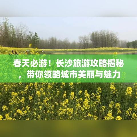 春天必游！長沙旅游攻略揭秘，帶你領(lǐng)略城市美麗與魅力