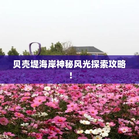 貝殼堤海岸神秘風光探索攻略！