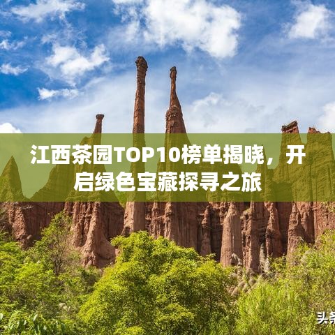 江西茶園TOP10榜單揭曉，開(kāi)啟綠色寶藏探尋之旅