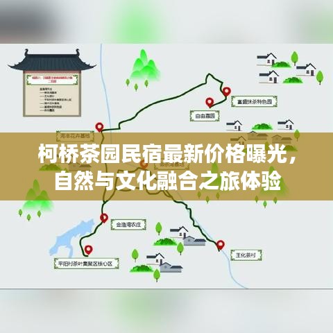 柯橋茶園民宿最新價格曝光，自然與文化融合之旅體驗