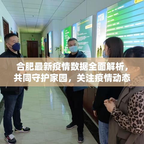 合肥最新疫情數(shù)據(jù)全面解析，共同守護家園，關注疫情動態(tài)表格