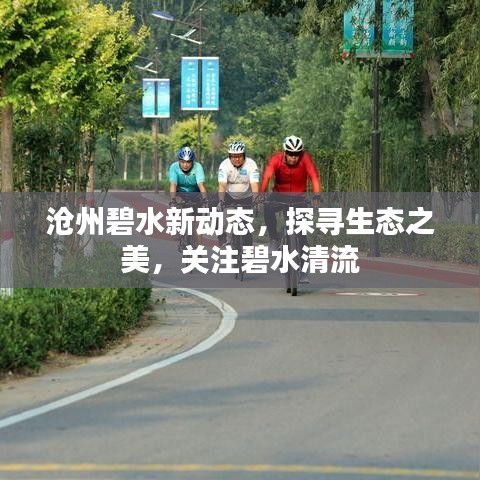 滄州碧水新動(dòng)態(tài)，探尋生態(tài)之美，關(guān)注碧水清流
